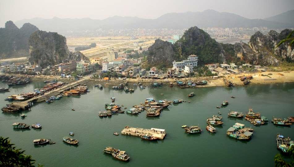 Bất động sản Vuông | Thủ tướng làm Trưởng ban chỉ đạo xây dựng đặc khu
