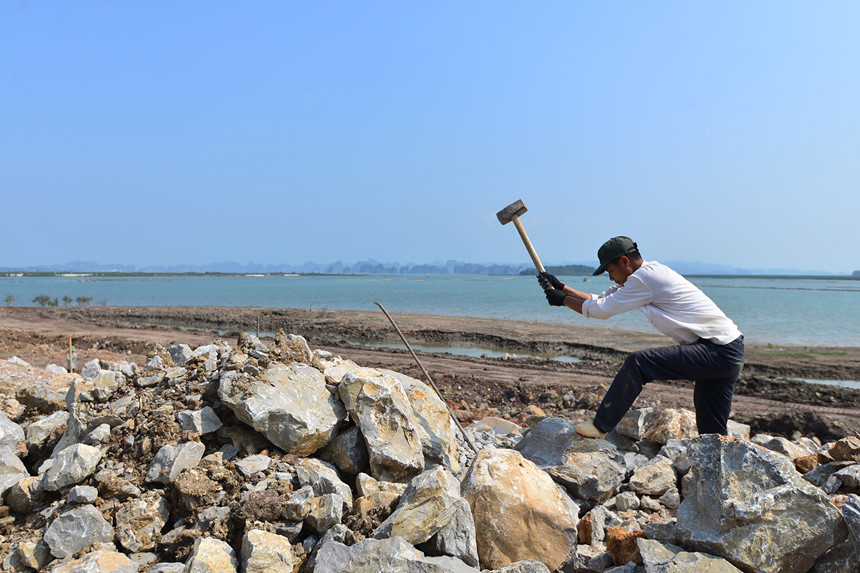 Hai dai du an nghin ty keo Ha Noi gan voi Ha Long hinh anh 30