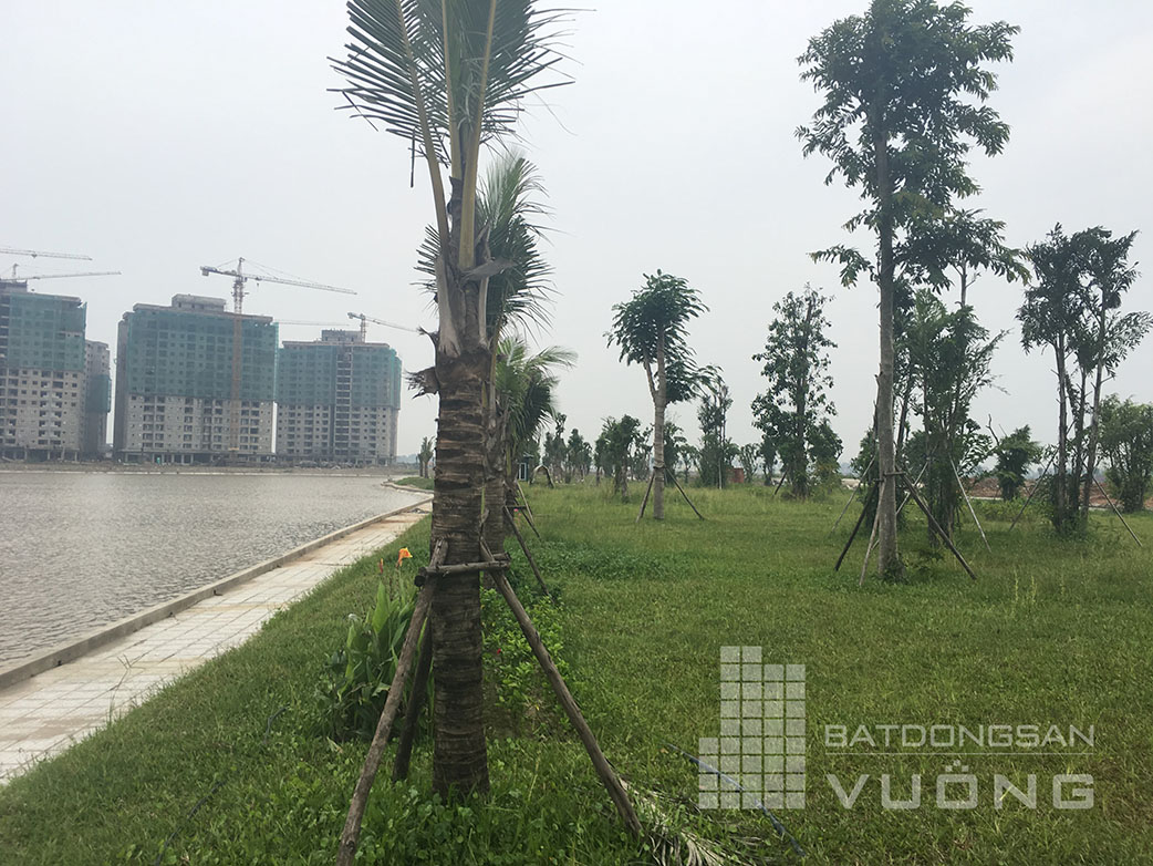 Đường dạo công viên ven hồ B2.1 