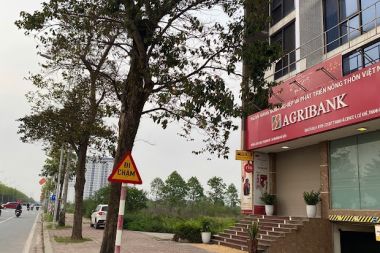 BÁN BIỆT THỰ THANH HÀ B2.4 BT05 DIỆN TÍCH 300M2, MẶT TIỀN 10M, HƯỚNG TÂY, ĐƯỜNG 60M, GẦN NGÂN HÀNG