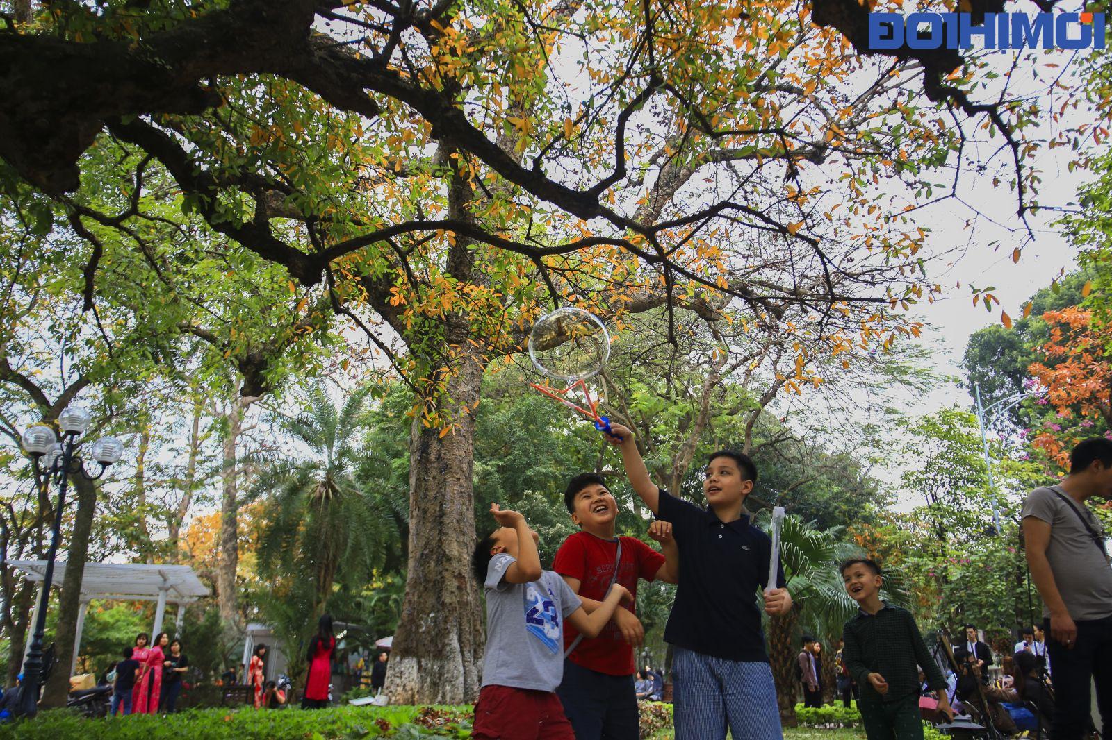 Bất động sản Vuông | Hà Nội đẹp ngỡ ngàng mùa cây thay lá