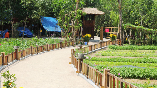 Khu nghỉ dưỡng 'chui' trong rừng phòng hộ
