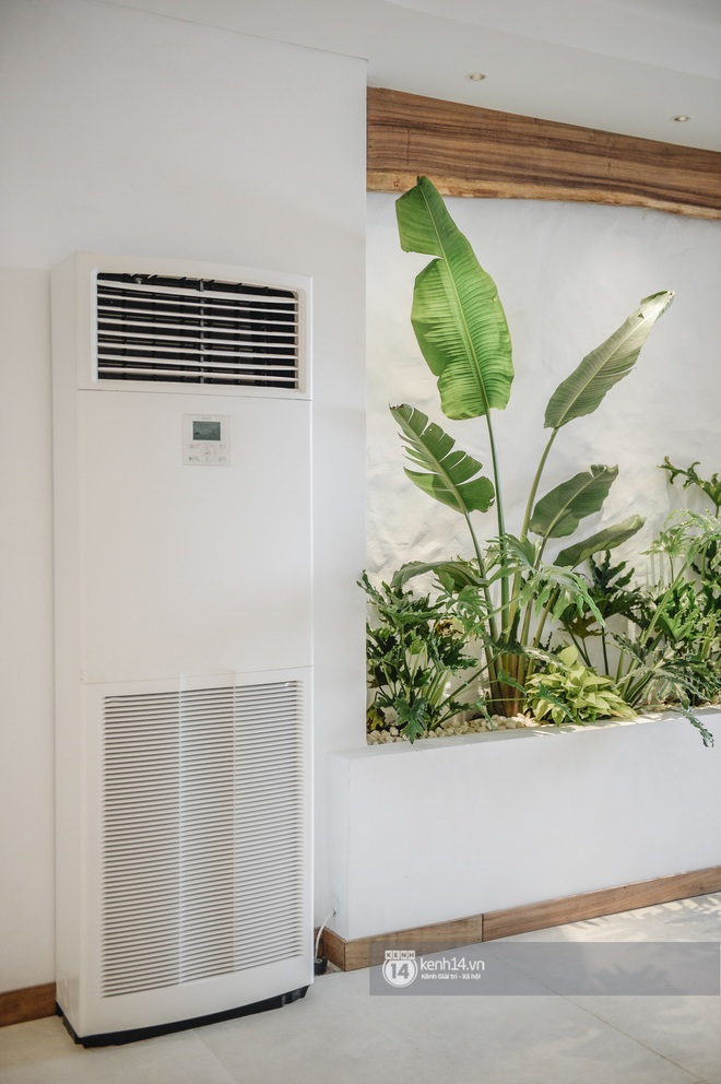 Bất động sản Vuông | Ca nương Kiều Anh khoe nhà: Căn hộ đập thông 300m2, chi phí sửa sang bằng tiền mua 1 căn chung cư nữa