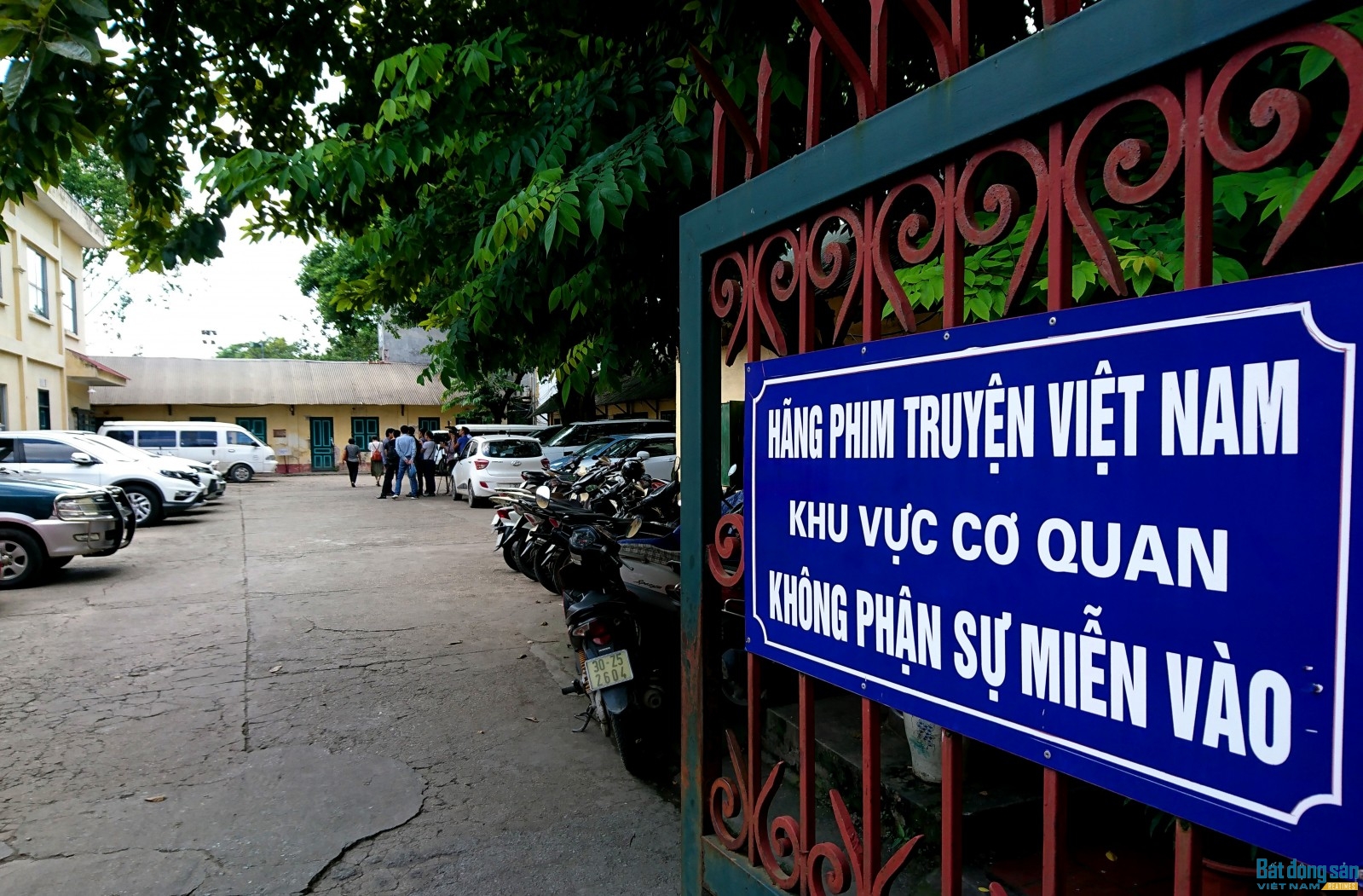Hãng phim Vn