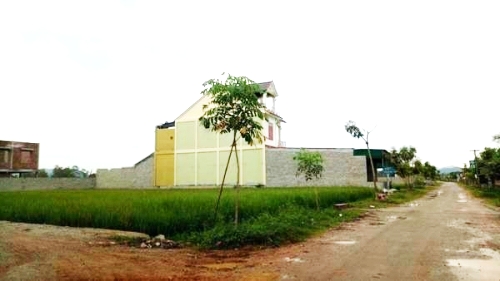 Bất động sản Vuông | Bán trái thẩm quyền 284 lô đất, thu hàng chục tỷ đồng: Chủ tịch huyện Yên Thành có vô can?