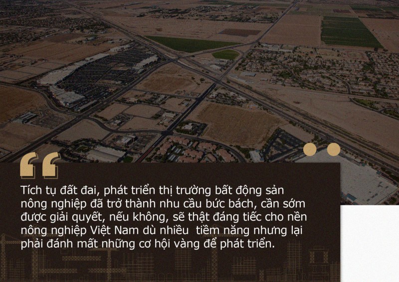 Bất động sản Vuông | Tích tụ đất đai hình thành thị trường bất động sản nông nghiệp