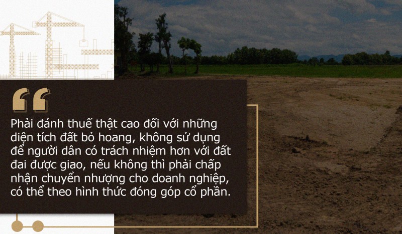 Bất động sản Vuông | Tích tụ đất đai hình thành thị trường bất động sản nông nghiệp