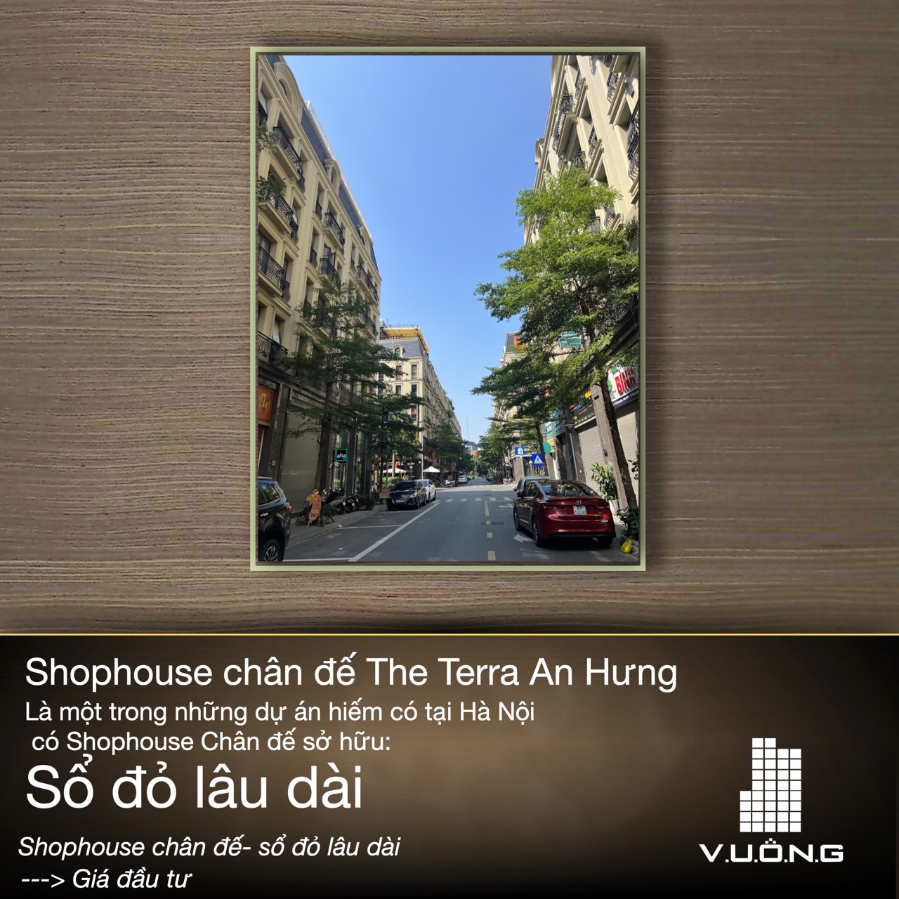 Bán shophosue chân đế The Terra An Hưng