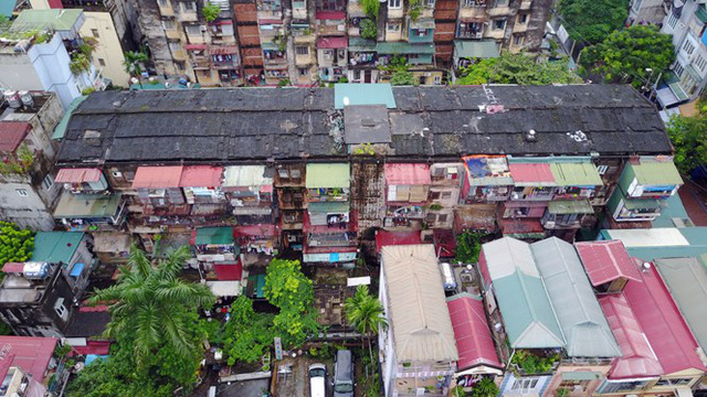 chung cu ngo nho