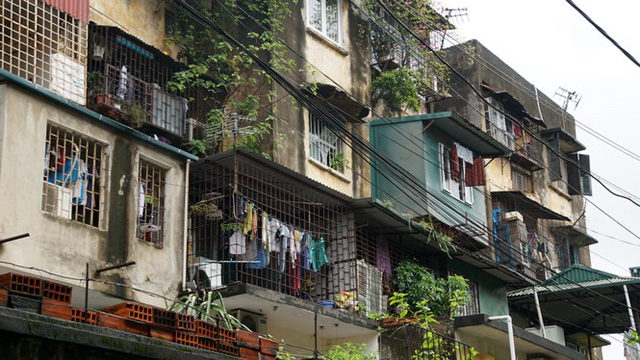 chung cu ngo nho
