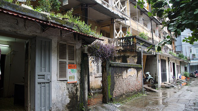 chung cu ngo nho