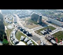 Trà cổ Long Beach Luxury Móng Cái