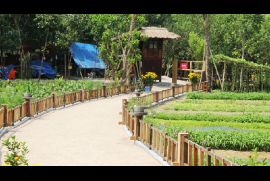 Khu nghỉ dưỡng 'chui' trong rừng phòng hộ