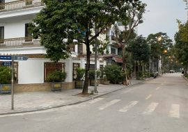 Bán Biệt thự 200 m<sup>2</sup> Khu đô thị Văn Phú