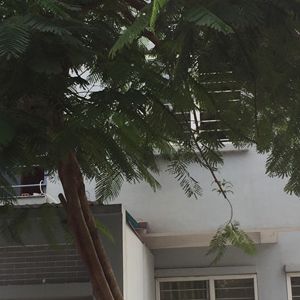 Ảnh thực tế căn số 1 lô TT29 Khu đô thị Văn Phú