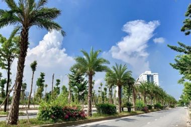 Bán Biệt Thự Thanh Hà 207,5m² Căn Góc Siêu Đẹp, Mặt Tiền 28m, Hướng Chính Tây, Nam