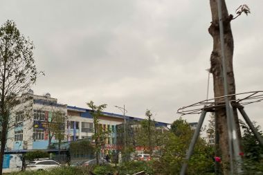 Bán Liền Kề Thanh Hà B1.4 Diện Tích 100m² Hướng Tây Nam Mặt Tiền 5m Đường 14m