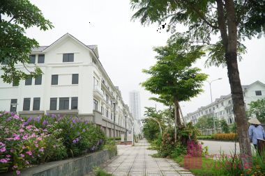 Bán Liền kề Geleximco khu D NV 144m² Hướng Tây Bắc, Mặt Tiền 6m Vị Trí Đẹp, Kinh Doanh Tốt