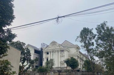 Bán Lô Đất Dịch Vụ Đồng Đế 50m² Lô Góc Hướng Chính Nam, Đông Nam, Mặt Tiền 14,87m