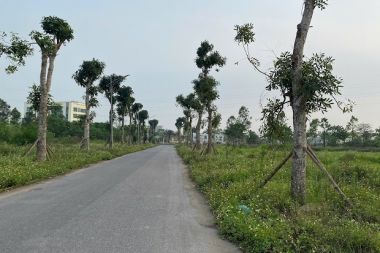 Bán Biệt thự 200 m<sup>2</sup> phân khu B2.4 Khu Đô Thị Thanh Hà Cienco 5 - Mường Thanh