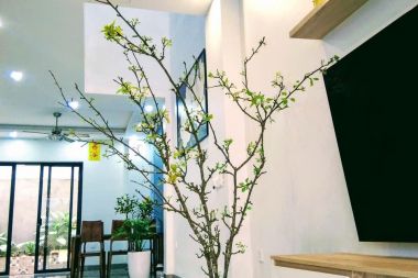 BÁN LIỀN KỀ KHU D KĐT GELEXIMCO: DIỆN TÍCH 87M2, MẶT TIỀN 6M HƯỚNG TÂY NAM