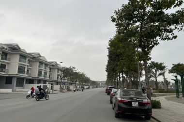 BÁN BIỆT THỰ PHÂN KHU AN VƯỢNG KĐT DƯƠNG NỘI (KHU A): DIỆN TÍCH 202.5M2, MẶT TIỀN 9M HƯỚNG ĐÔNG BẮC