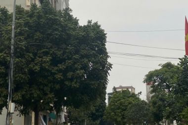 CHÍNH CHỦ BÁN LÔ NHÀ PHỐ DIỆN TÍCH 50M2 KHU ĐẤT DỊCH VỤ ĐỒNG ĐẾ (GIÁP KHU C KĐT GELEXIMCO)