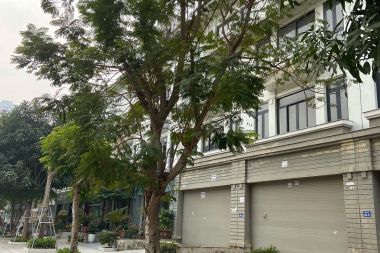 BÁN BIỆT THỰ LÔ C16 KĐT GELEXIMCO: DIỆN TÍCH 169.7M2, MẶT TIỀN 8M HƯỚNG ĐÔNG NAM, VỊ TRÍ ĐẸP GẦN CÔNG VIÊN