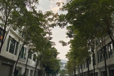 CHO THUÊ CĂN BIỆT THỰ NHÀ VƯỜN LÔ D24 KĐT GELEXIMCO: DIỆN TÍCH 160M2, MẶT TIỀN 8M HƯỚNG TÂY NAM, NHÀ ĐÃ HOÀN THIỆN