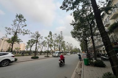 BÁN CĂN LIỀN KỀ LÔ U03 KĐT ĐÔ NGHĨA MẶT TIỀN 5M HƯỚNG TÂY BẮC MẶT ĐƯỜNG 25M RỘNG RÃI