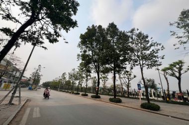 BÁN BIỆT THỰ LÔ T03 KĐT ĐÔ NGHĨA (KHU D DƯƠNG NỘI): DIỆN TÍCH 250M2, MẶT TIỀN 10M HƯỚNG ĐÔNG NAM. VỊ TRÍ ĐẸP, MẶT ĐƯỜNG LỚN