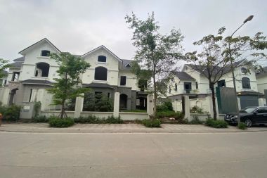 BÁN BIỆT THỰ KHU D KĐT GELEXIMCO: DIỆN TÍCH 295M2, MẶT TIỀN 31M LÔ GÓC HƯỚNG ĐÔNG NAM. VỊ TRÍ GÓC VƯỜN HOA RỘNG THOÁNG 