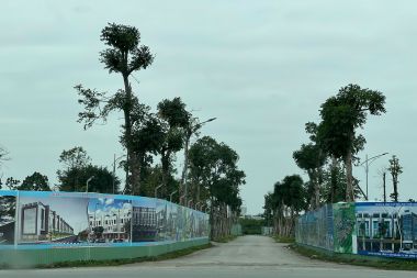 CHÍNH CHỦ CẦN BÁN NHANH LIỀN KỀ LÔ LK4 KHU A2.4 KĐT THANH HÀ – VỊ TRÍ ĐẸP, GIÁ TỐT MẶT TIỀN 5M HƯỚNG ĐÔNG DIỆN TÍCH 117.5M2