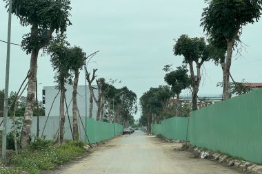 CHÍNH CHỦ GỬI BÁN NHANH LIỀN KỀ LÔ LK10 KHU A2.4 KĐT THANH HÀ – DIỆN TÍCH 75M2 MẶT TIỀN 5M CẠNH TRƯỜNG VICTORIA THĂNG LONG, VỊ TRÍ ĐẸP, CÓ RA LỘC CHO KHÁCH THIỆN CHÍ