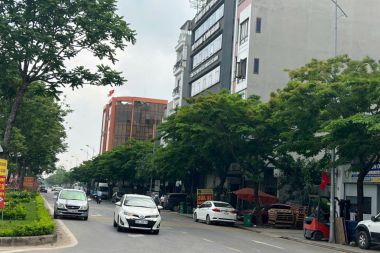 CHÍNH CHỦ BÁN 3 LÔ LIỀN KỀ LIỀN NHAU KHU ĐẤT DỊCH VỤ LK19AB DƯƠNG NỘI TỔNG DIỆN TÍCH 150M2 MẶT TIỀN 12M HƯỚNG TÂY BẮC MẶT ĐƯỜNG LÊ QUANG ĐẠO KÉO DÀI