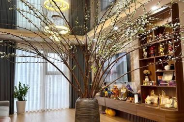 Chính chủ gửi bán chung cư 2 phòng ngủ La Casta Văn Phú, toà A căn góc tầng trung, full nội thất cao cấp