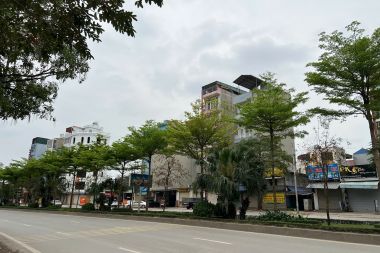 Bán Đất nền 50 m<sup>2</sup> Đất dịch vụ Dương Nội, Quận Hà Đông