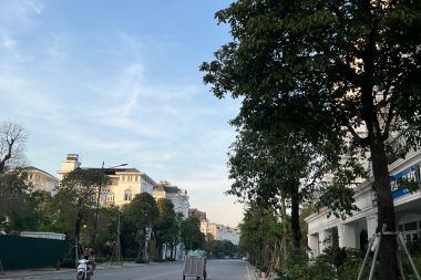 Bán Biệt thự 200 m<sup>2</sup> Khu đô thị Louis City