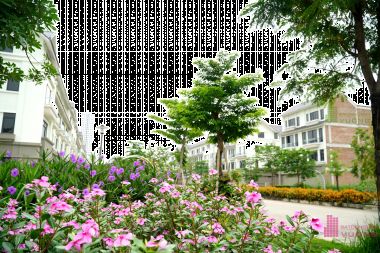 Bán shophouse đường đôi 30 m khu đô thị Geleximco Lê Trọng tấn lô D29 khu D diện tích 144m2