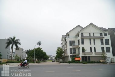 Bán Liền kề 174.5 m<sup>2</sup> phân khu C Khu đô thị Geleximco - Lê Trọng Tấn